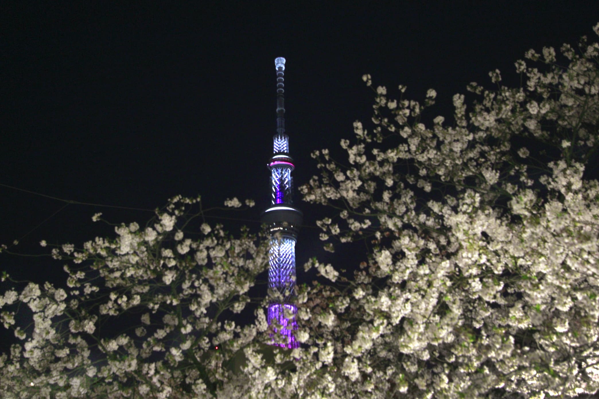 Tokyo Skytree