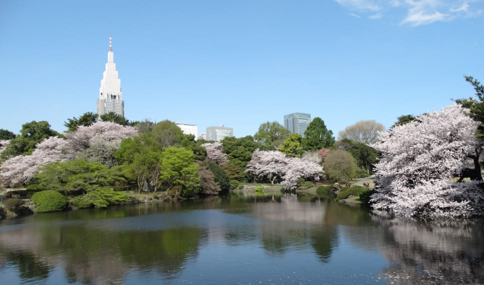 Shinjuku Gyoen