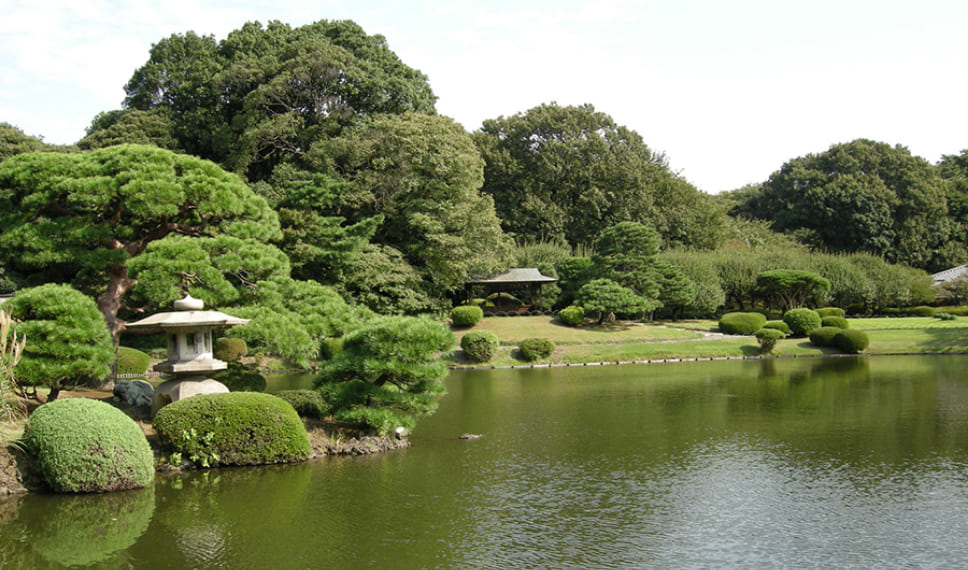 Shinjuku Gyoen