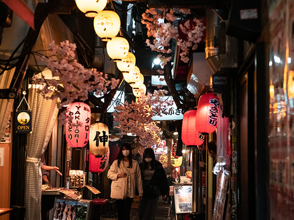 Shinjuku West Exit: Omoide Yokocho