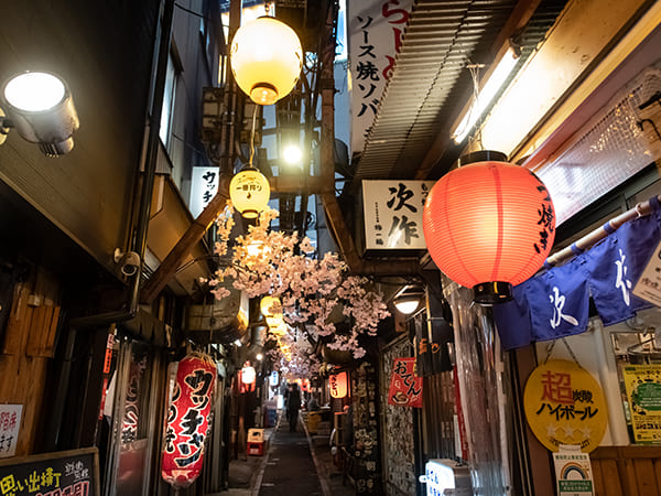 Shinjuku West Exit: Omoide Yokocho