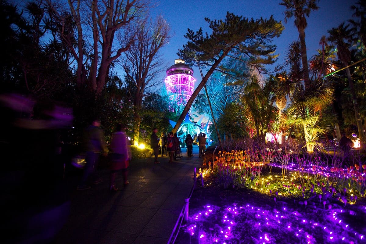 Enoshima Sea Candle