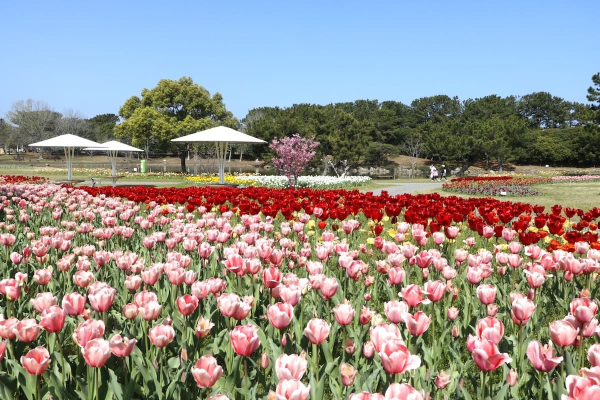 Uminonakamichi Seaside Park