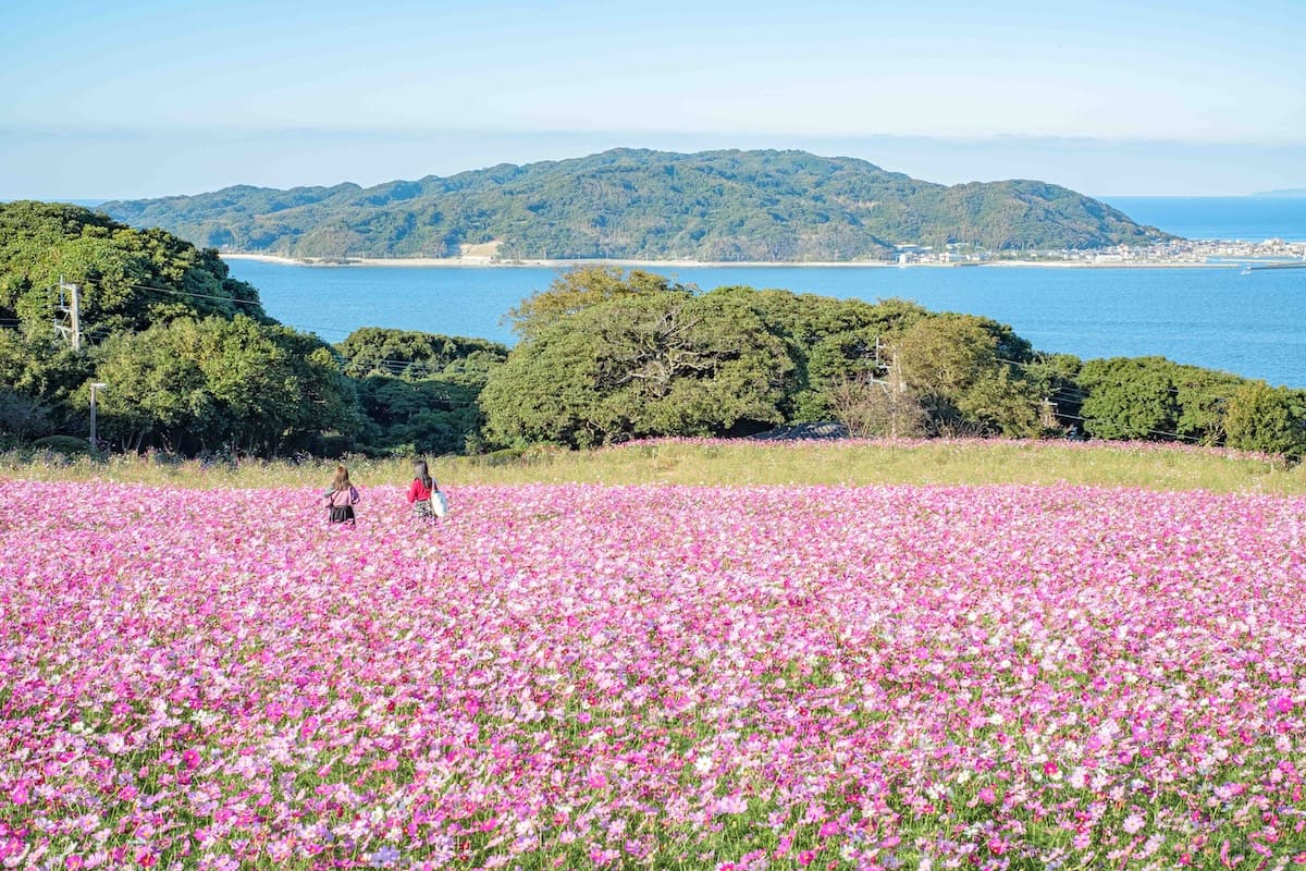 Nokonoshima Island Park