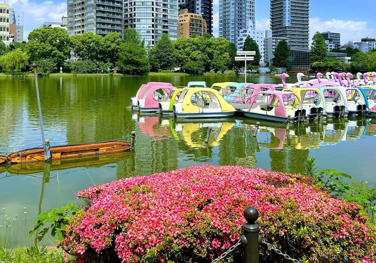 Shinobazuno Pond