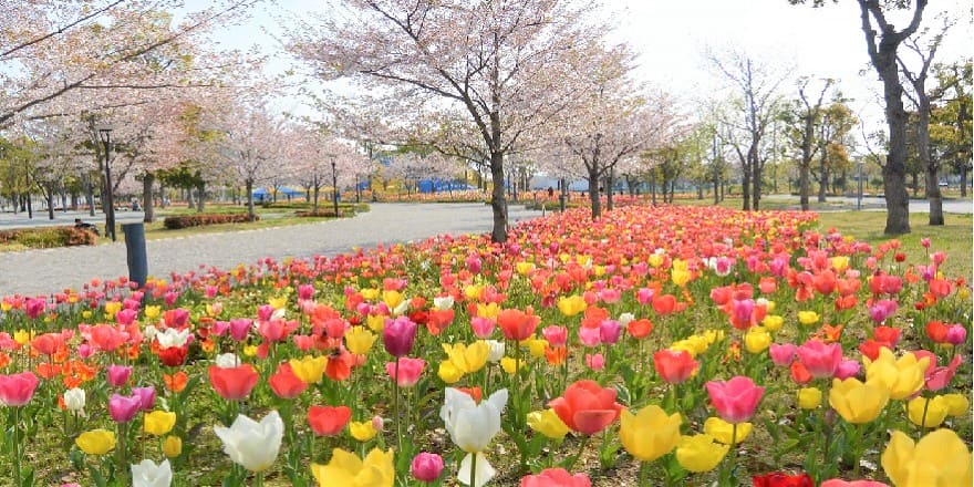 Symbol Promenade Park