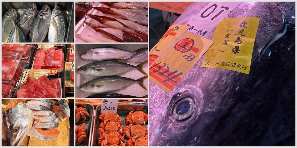 Tsukiji Outside Market