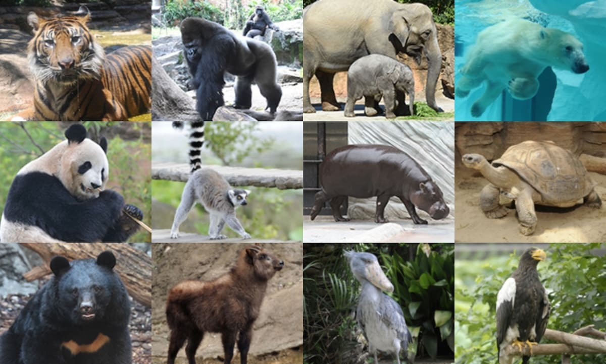 Ueno Zoo