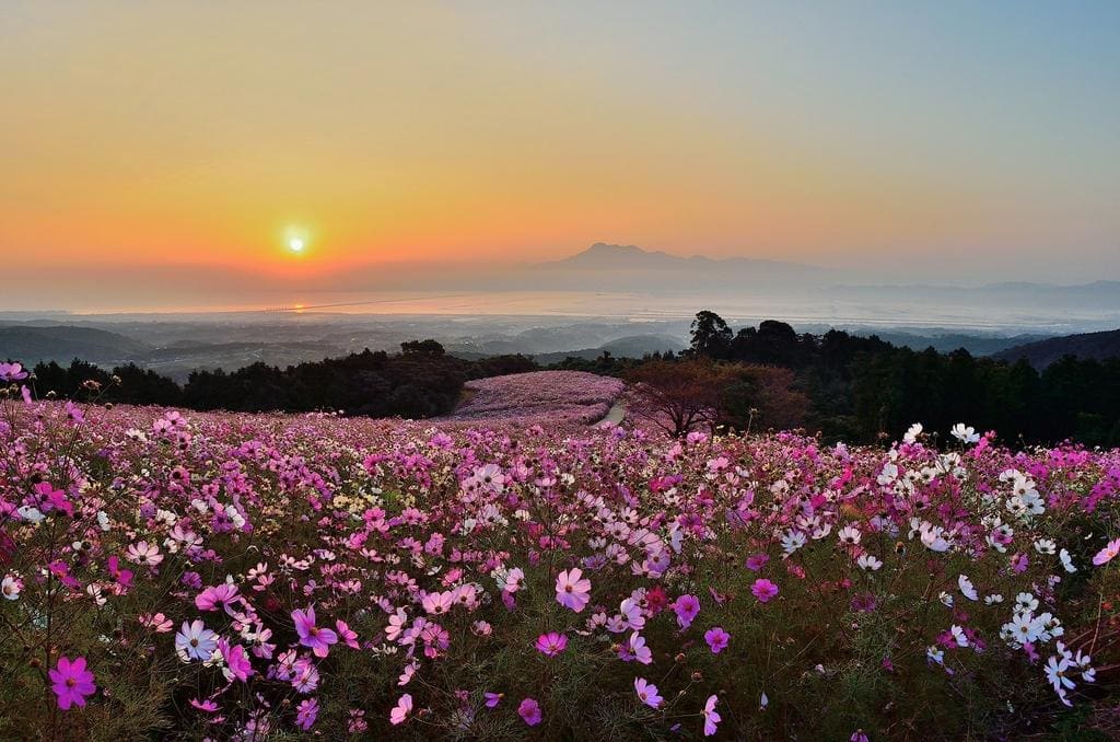 Shirakimine Plateau