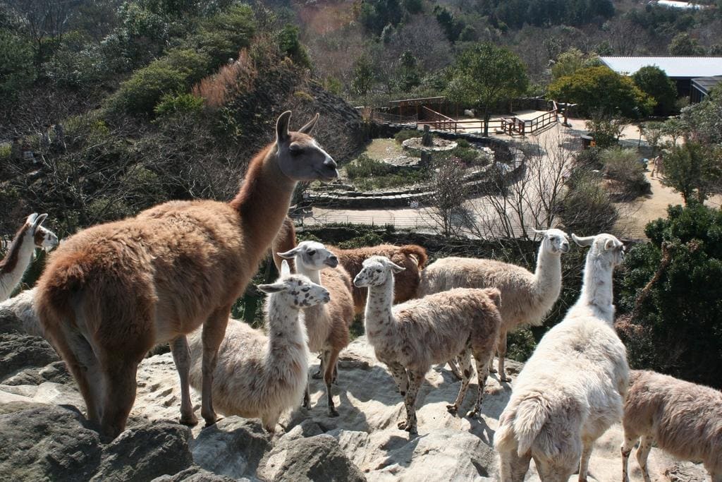 Nagasaki Bio-Park