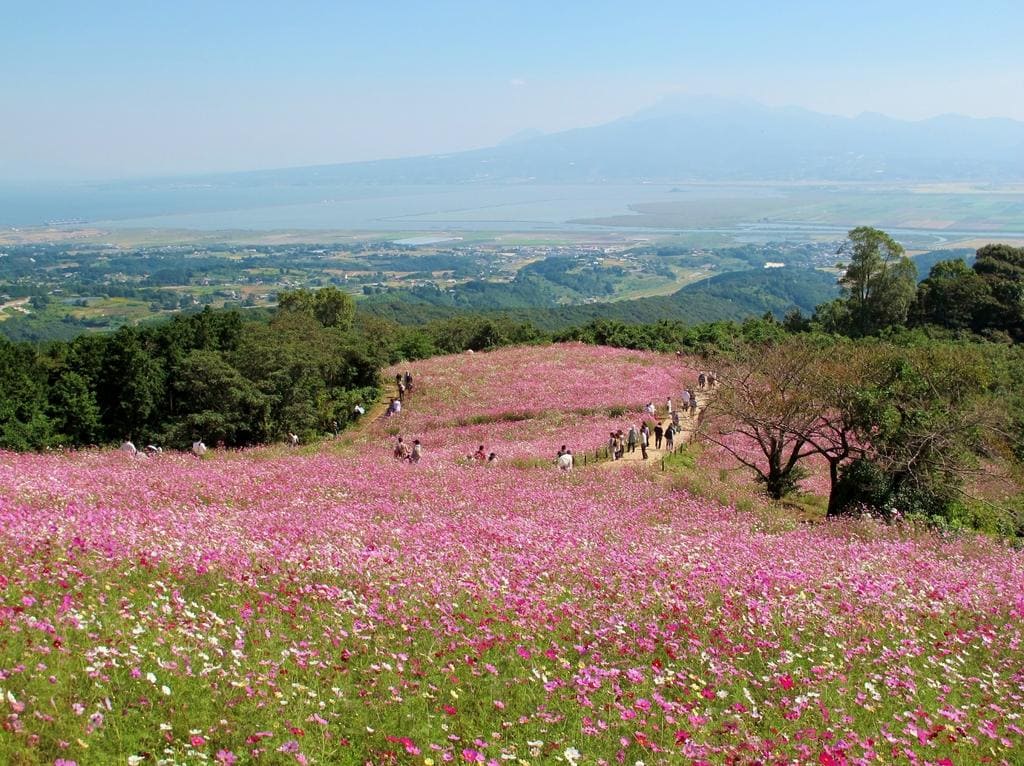 Shirakimine Plateau