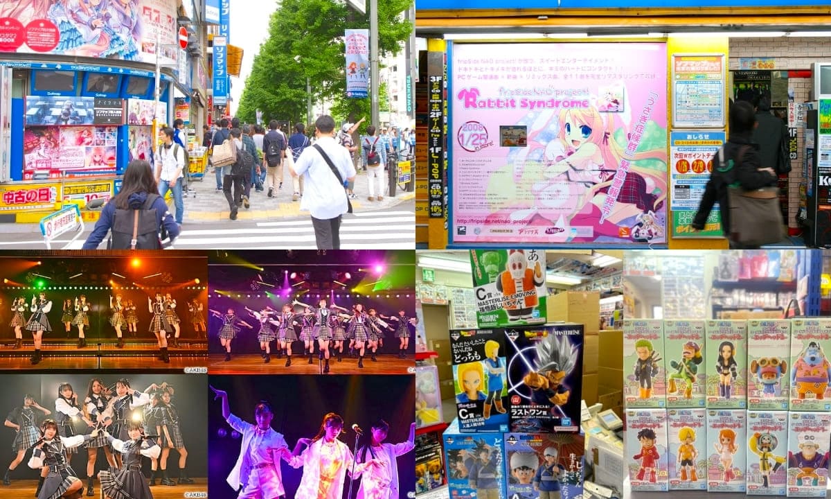 Best Things to Do in Akihabara