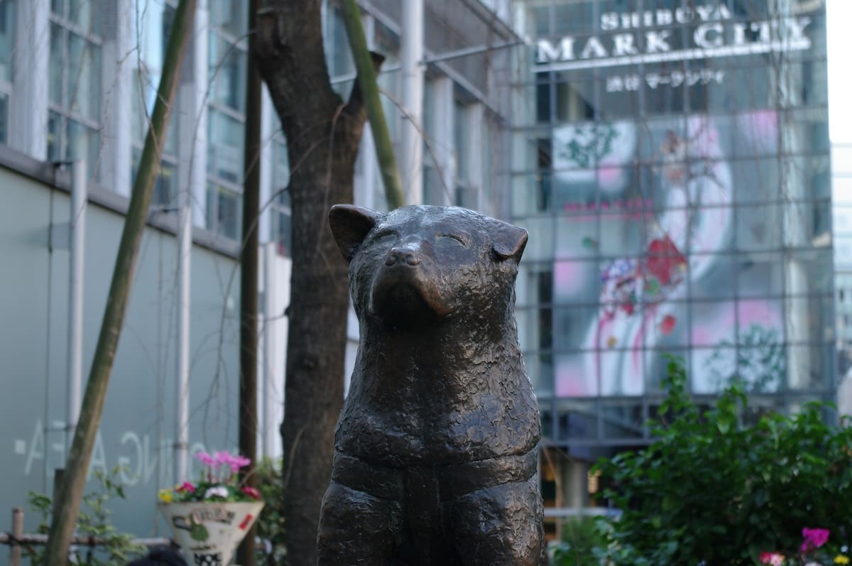 Hachiko