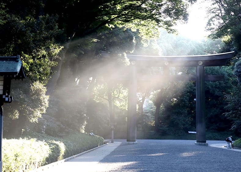 Meiji Jingu Shrine