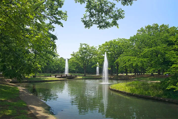 Yoyogi Park